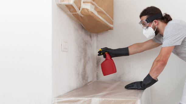 Professional Mold Testing technician working in Mount Royal, NJ