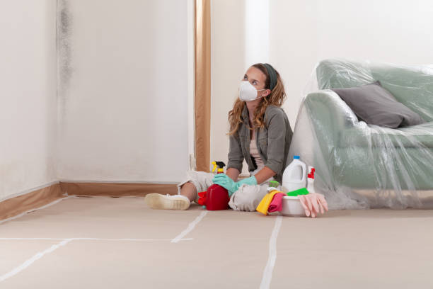 Reliable Mold Testing contractor in Mount Royal, NJ by WQB Mold Removal